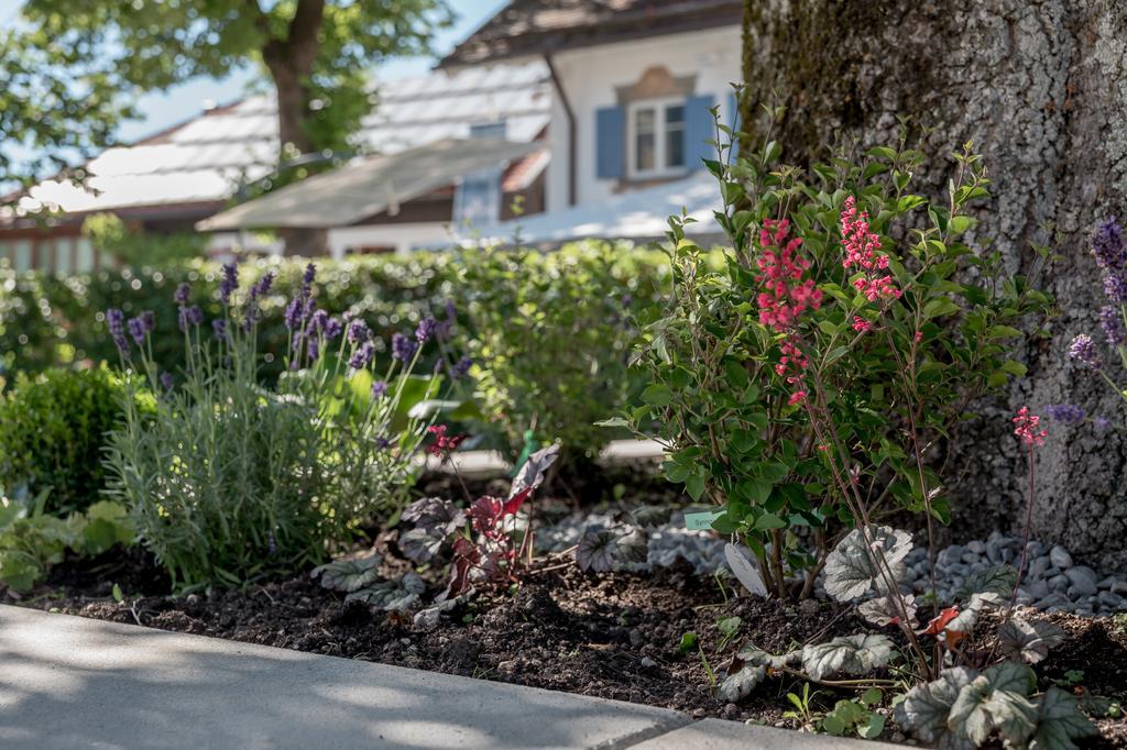 Alpenhotel Krone Pfronten Zewnętrze zdjęcie